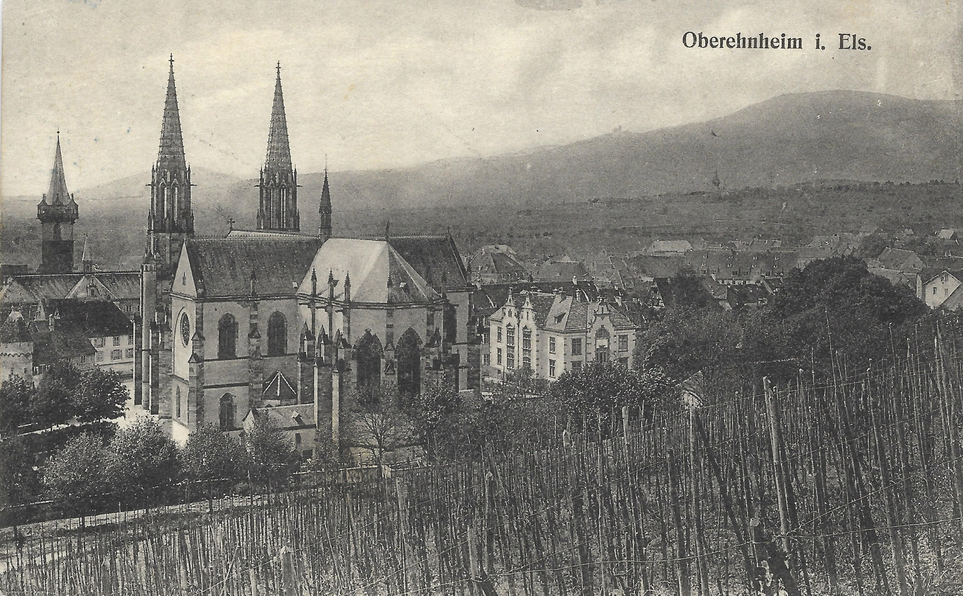 Vue sur Obernai depuis un plan de vignes │ Carte postale allemande, circulée le 23.9.1917 │ col. pdgit1918